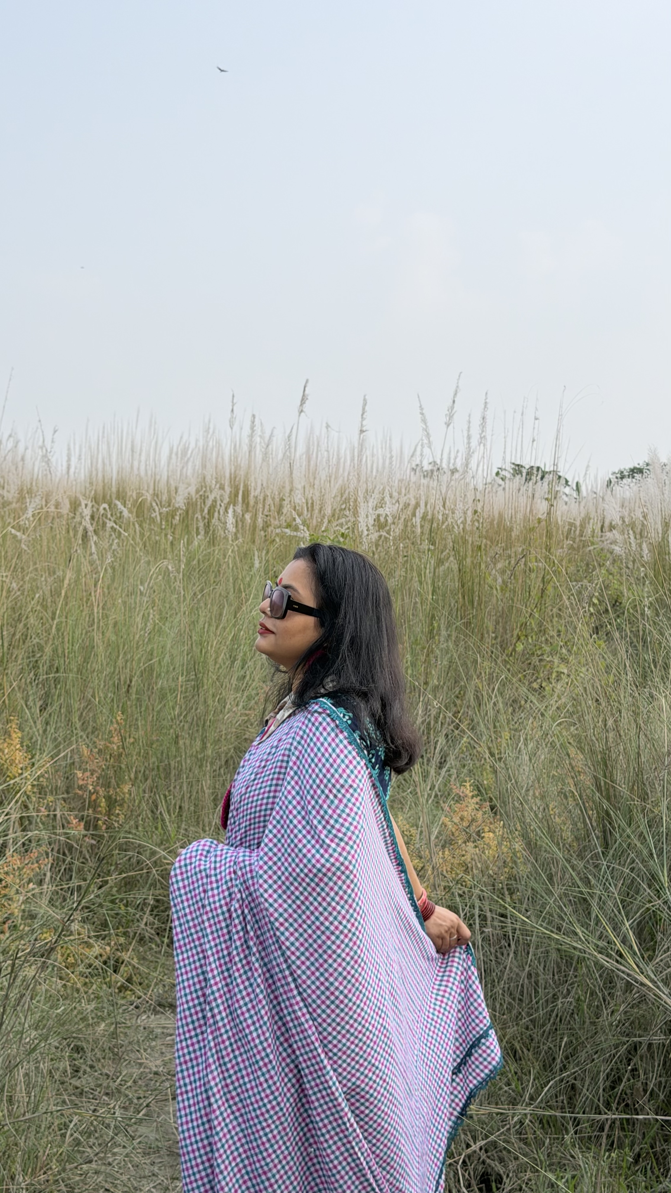 Cotton Handloom Check Saree katakuti — photo 7